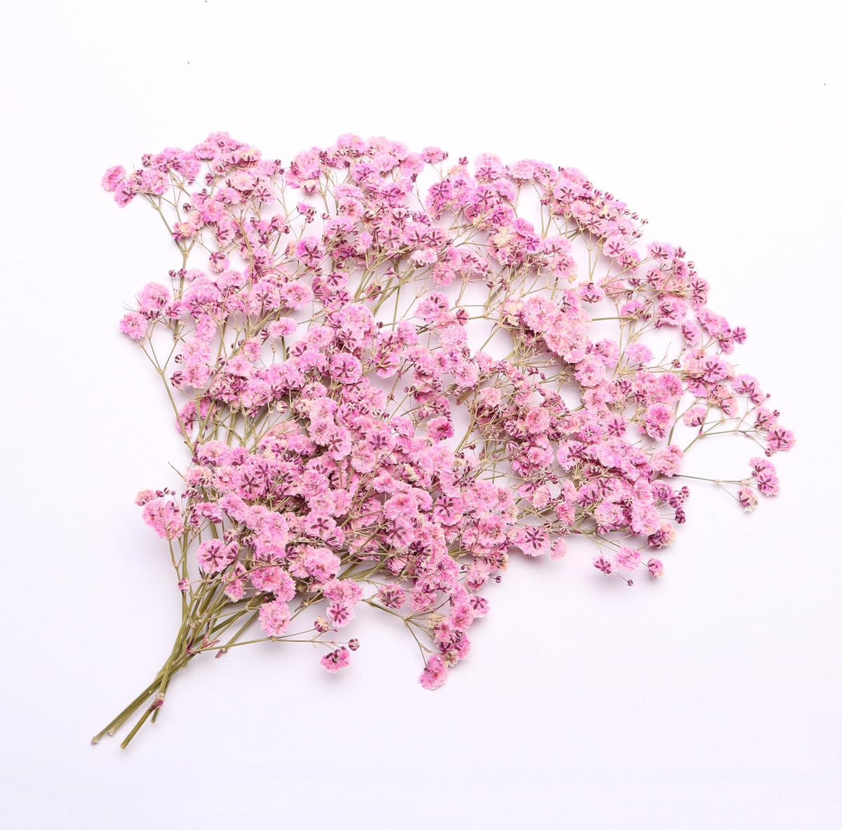 Pink 70 Pcs Small Dried Babys Breath Flowers for Resin ,Real Dried Babys Breath Pressed Flower for Wedding Invitations Wax Seals ,Dry Flat Baby's Breath Flower with 2 Tweezers.