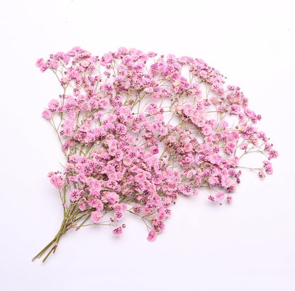 Pink 70 Pcs Small Dried Babys Breath Flowers for Resin ,Real Dried Babys Breath Pressed Flower for Wedding Invitations Wax Seals ,Dry Flat Baby's Breath Flower with 2 Tweezers.
