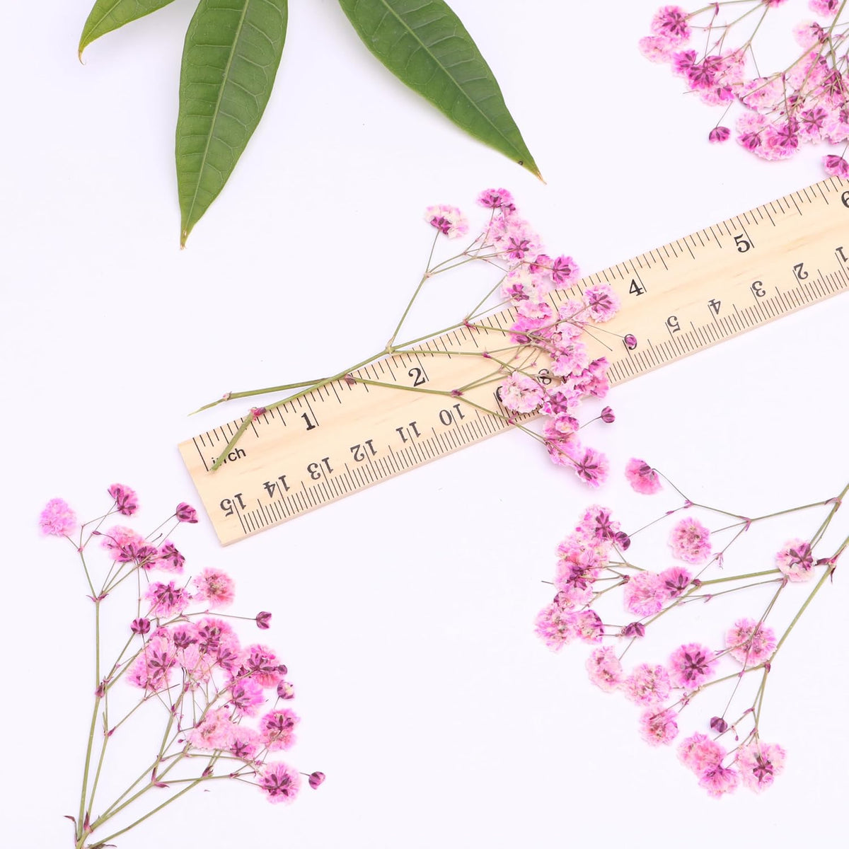 Pink 70 Pcs Small Dried Babys Breath Flowers for Resin ,Real Dried Babys Breath Pressed Flower for Wedding Invitations Wax Seals ,Dry Flat Baby's Breath Flower with 2 Tweezers.