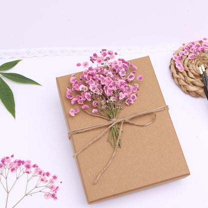 Pink 70 Pcs Small Dried Babys Breath Flowers for Resin ,Real Dried Babys Breath Pressed Flower for Wedding Invitations Wax Seals ,Dry Flat Baby's Breath Flower with 2 Tweezers.