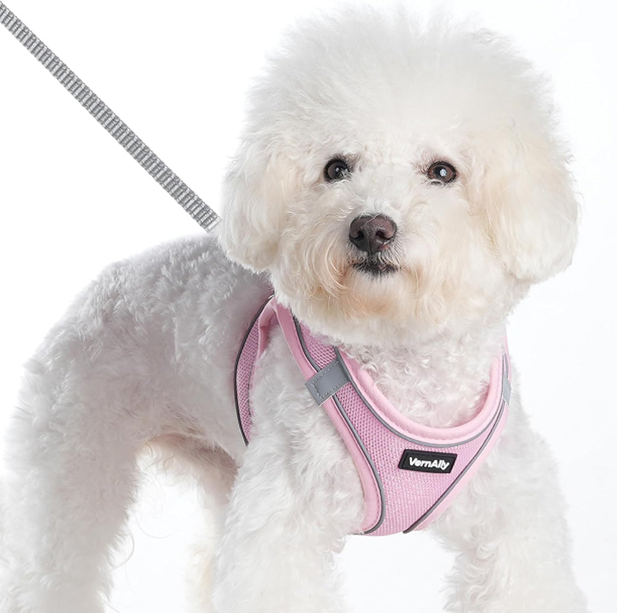 Sparkly Dog Harness and Leash Set No Pull for Small Medium Dogs Cats