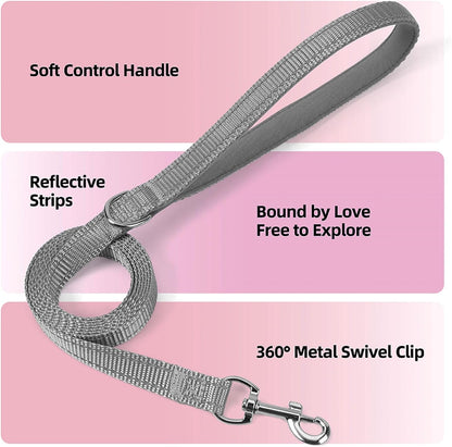 Sparkly Dog Harness and Leash Set No Pull for Small Medium Dogs Cats