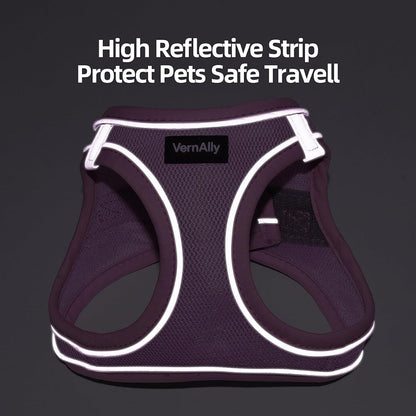 Sparkly Dog Harness and Leash Set No Pull for Small Medium Dogs Cats
