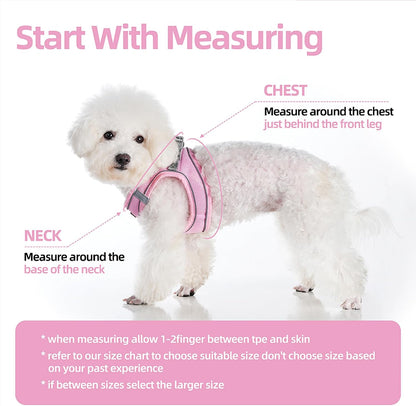 Sparkly Dog Harness and Leash Set No Pull for Small Medium Dogs Cats