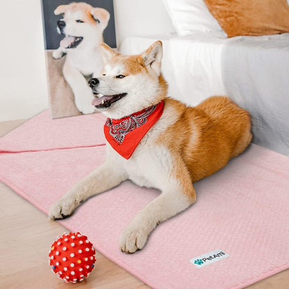 Waterproof Dog Blanket, Leakproof Puppy Blanket, 29x40 Light Pink