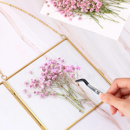 100 Pcs Dried Baby Breath Flowers Bulk Real Pressed,Pink