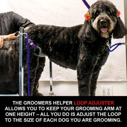 ® Loop Adjuster - Never Raise or Lower Your Grooming Arm Again (Pink)