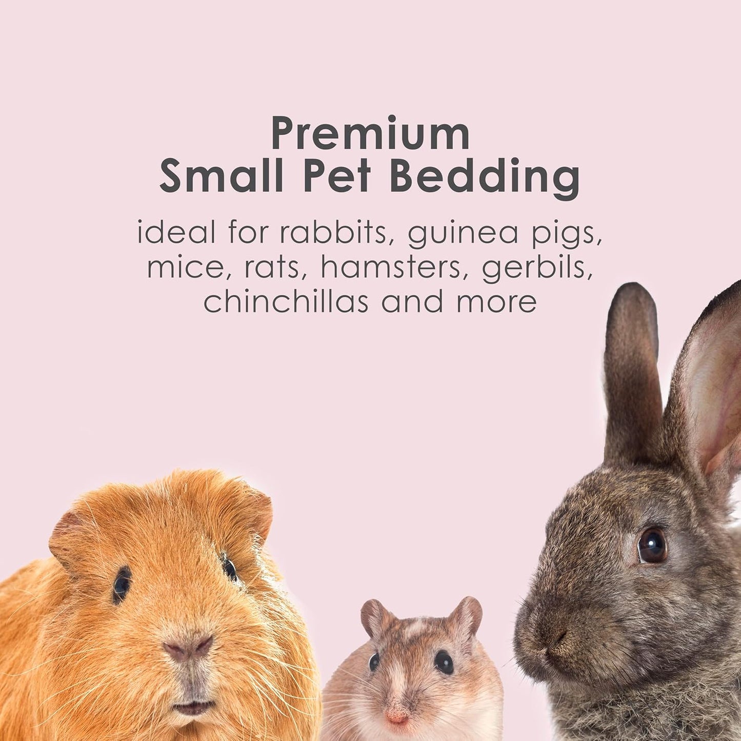 Kaytee Clean & Cozy Colors, Small Animal Bedding with Extreme Odor Control, Plum, 24.6 Liters