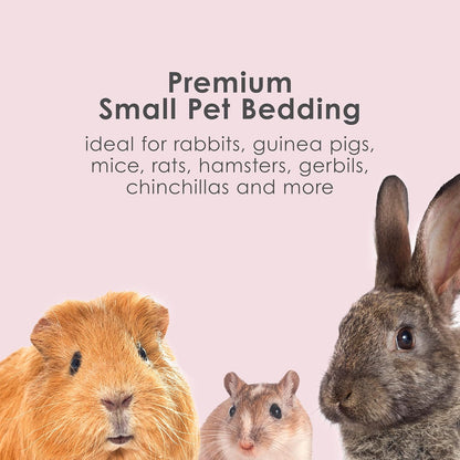 Kaytee Clean & Cozy Colors, Small Animal Bedding with Extreme Odor Control, Plum, 24.6 Liters