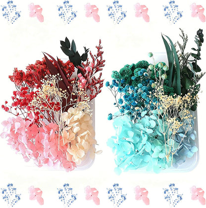 2 Pack Dried Flowers Kit, Natural Dried Flowers for DIY Crafts, Scrapbook, Card Making (Blue & Pink)