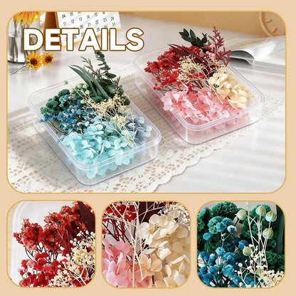 2 Pack Dried Flowers Kit, Natural Dried Flowers for DIY Crafts, Scrapbook, Card Making (Blue & Pink)