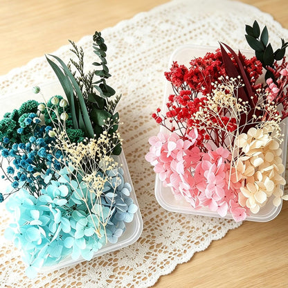 2 Pack Dried Flowers Kit, Natural Dried Flowers for DIY Crafts, Scrapbook, Card Making (Blue & Pink)