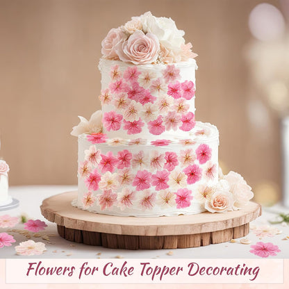 96 Pcs Natural Dried Pressed Edible Flowers for Cake Topper Decorating Cupcake Toppers Cocktails Resin Jewelry Making DIY Art Crafts(Pink,Flower Style)