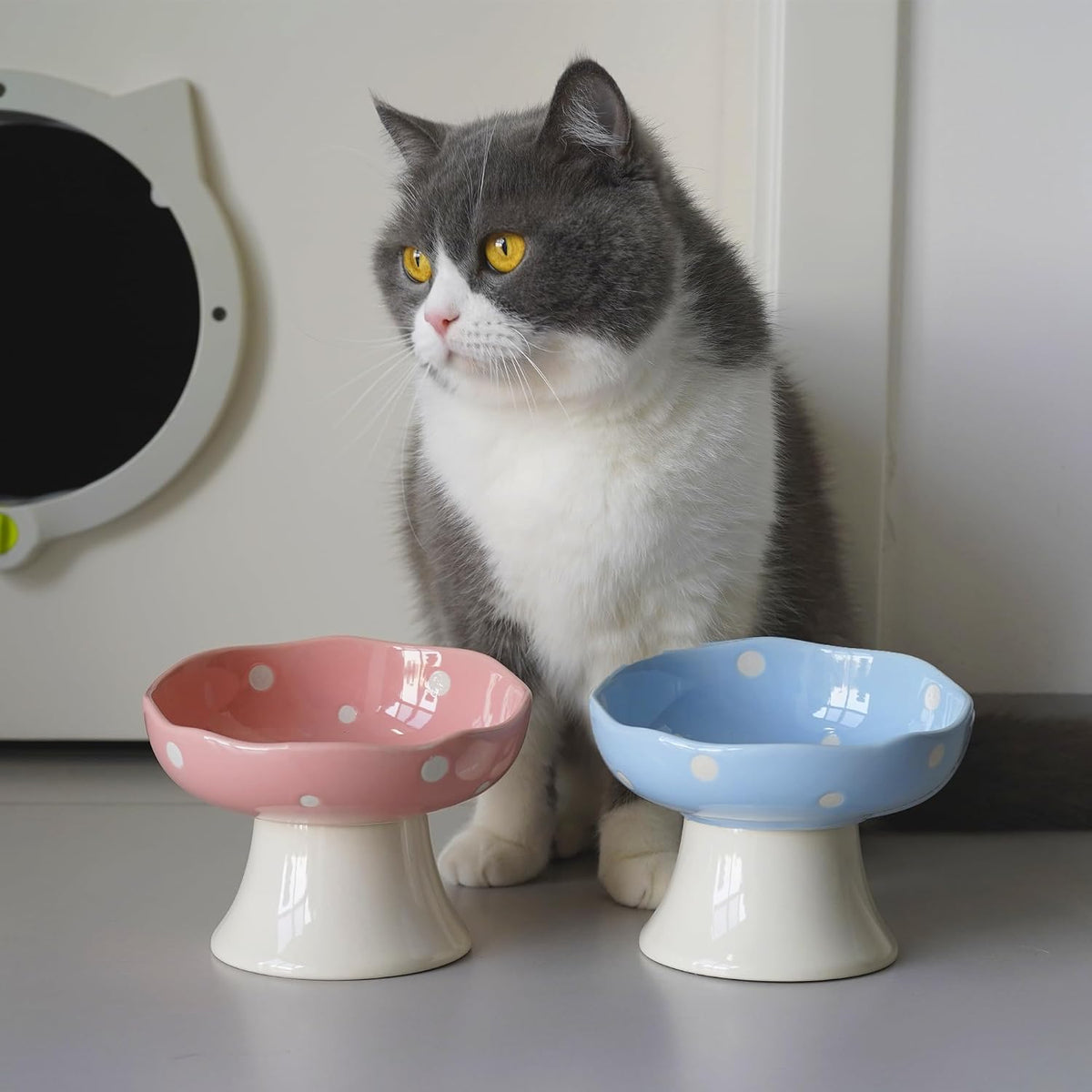 Pink Mushroom Cat Bowl, Elevated Ceramic Feeding Bowl
