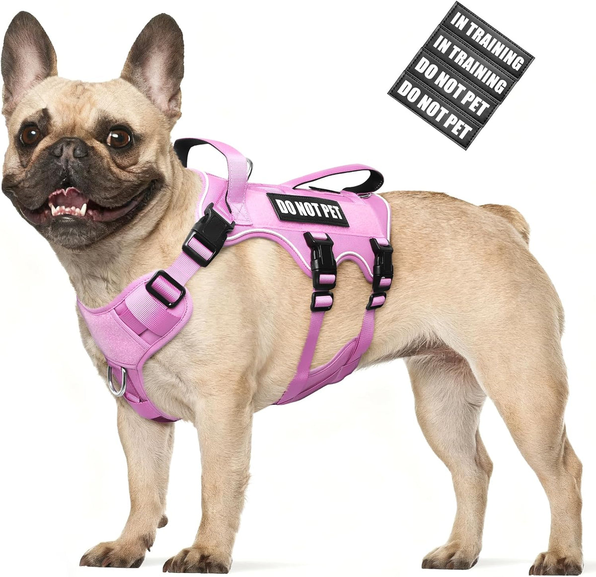 Escape Proof Dog Harness with Double Handle+4 Removable Patches