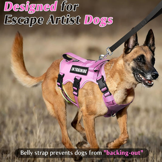 Escape Proof Dog Harness with Double Handle+4 Removable Patches