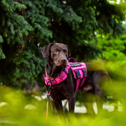 Dog Harness for Large Dogs, No Pull Tactical Vest with Front Clips