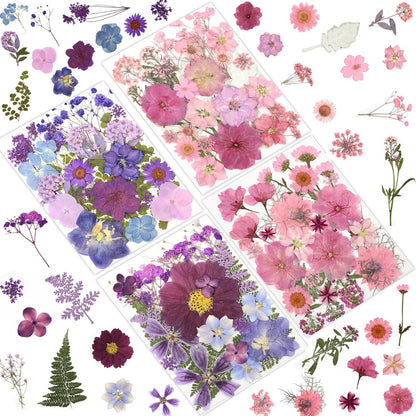 100P Pink Purple Blue Dried Pressed Flowers