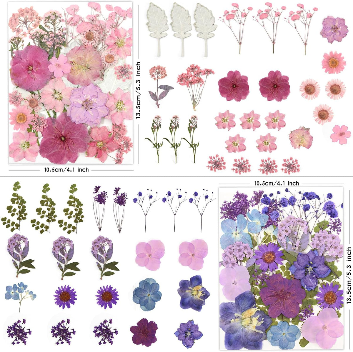 100P Pink Purple Blue Dried Pressed Flowers