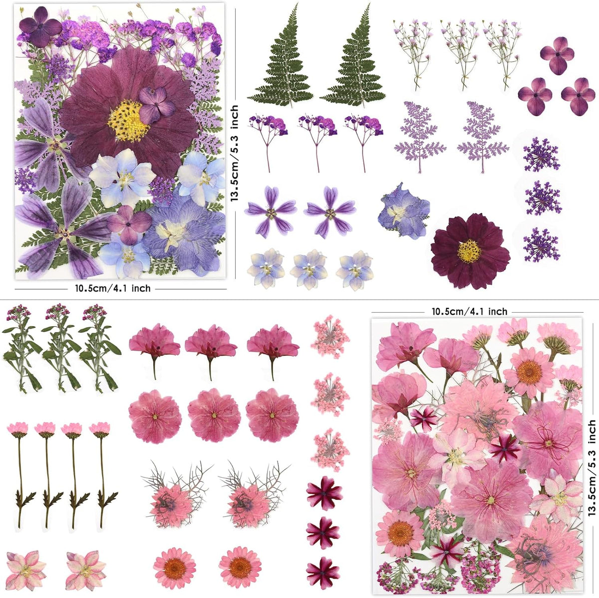 100P Pink Purple Blue Dried Pressed Flowers