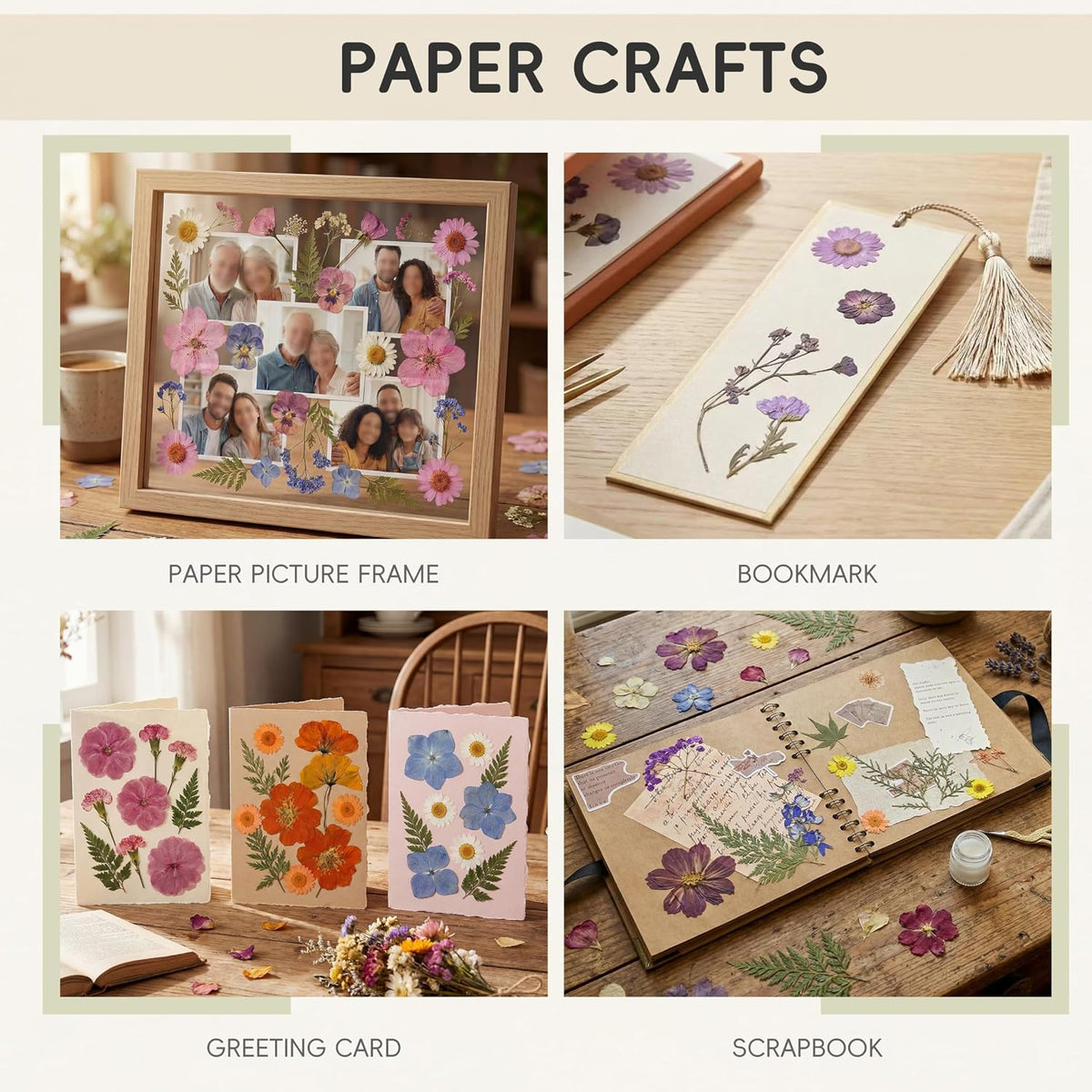 100P Pink Purple Blue Dried Pressed Flowers