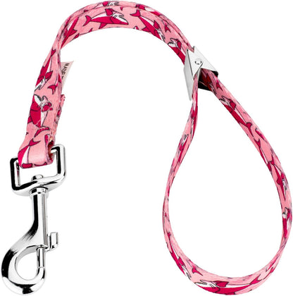 Country Brook Petz Dog & Pet 5/8 Inch Grooming Loop with Spring Loaded Clip - 18 Unique Designs for Grooming and Vet Tables (Pink Sharks)