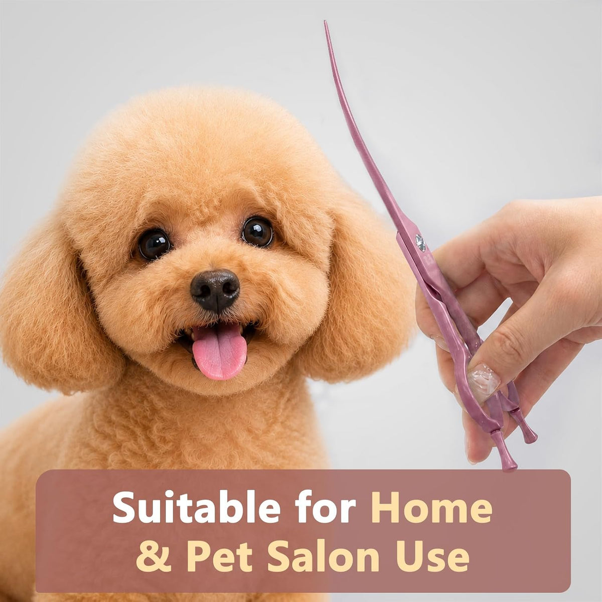 Professional Dog Grooming Scissors: 7" Japanese 440C Steel, Curved Shears with 25-30° Blade for Pet Groomers (Pink)