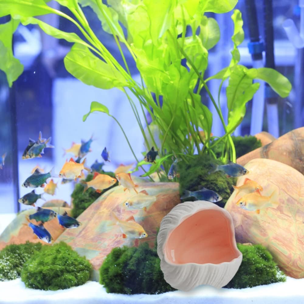 Ceramic Cave Shell Fish House - Small Animal Hideout for Hamsters, Gerbils, Chinchillas, Mice, Rats, and Syrian Hamsters - 5.1 inch(Pink M)