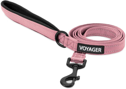 Best Pet Supplies Voyager Nylon Dog Leash - Pink, Small