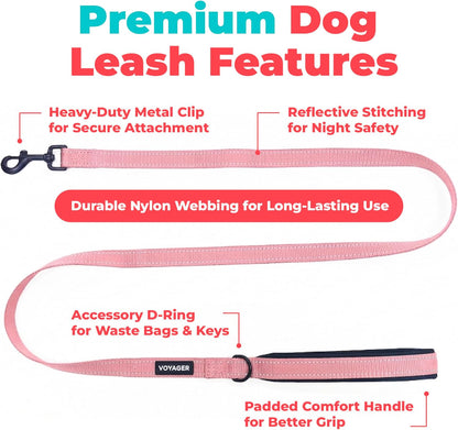 Best Pet Supplies Voyager Nylon Dog Leash - Pink, Small