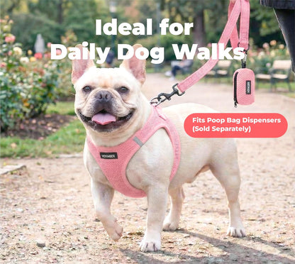 Best Pet Supplies Voyager Nylon Dog Leash - Pink, Small