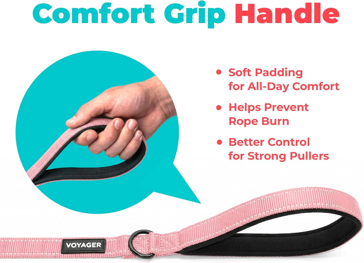 Best Pet Supplies Voyager Nylon Dog Leash - Pink, Small