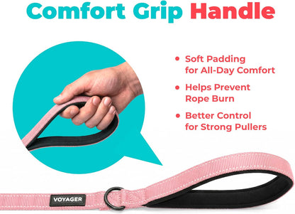 Best Pet Supplies Voyager Nylon Dog Leash - Pink, Small
