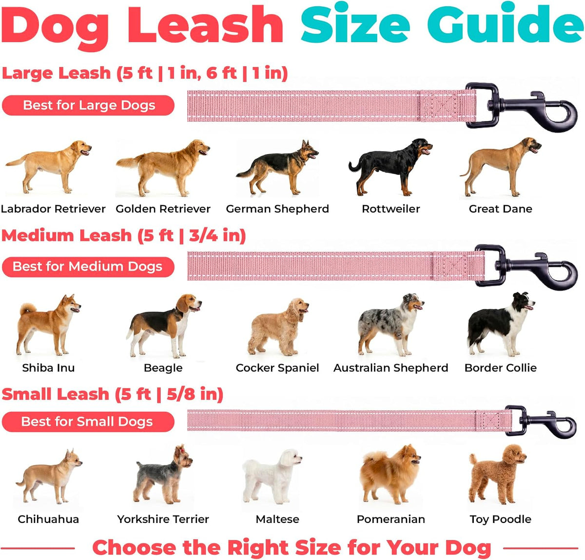 Best Pet Supplies Voyager Nylon Dog Leash - Pink, Small