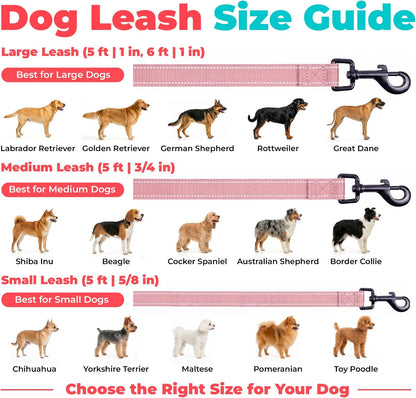 Best Pet Supplies Voyager Nylon Dog Leash - Pink, Small
