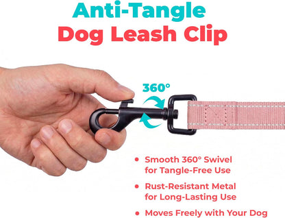 Best Pet Supplies Voyager Nylon Dog Leash - Pink, Small
