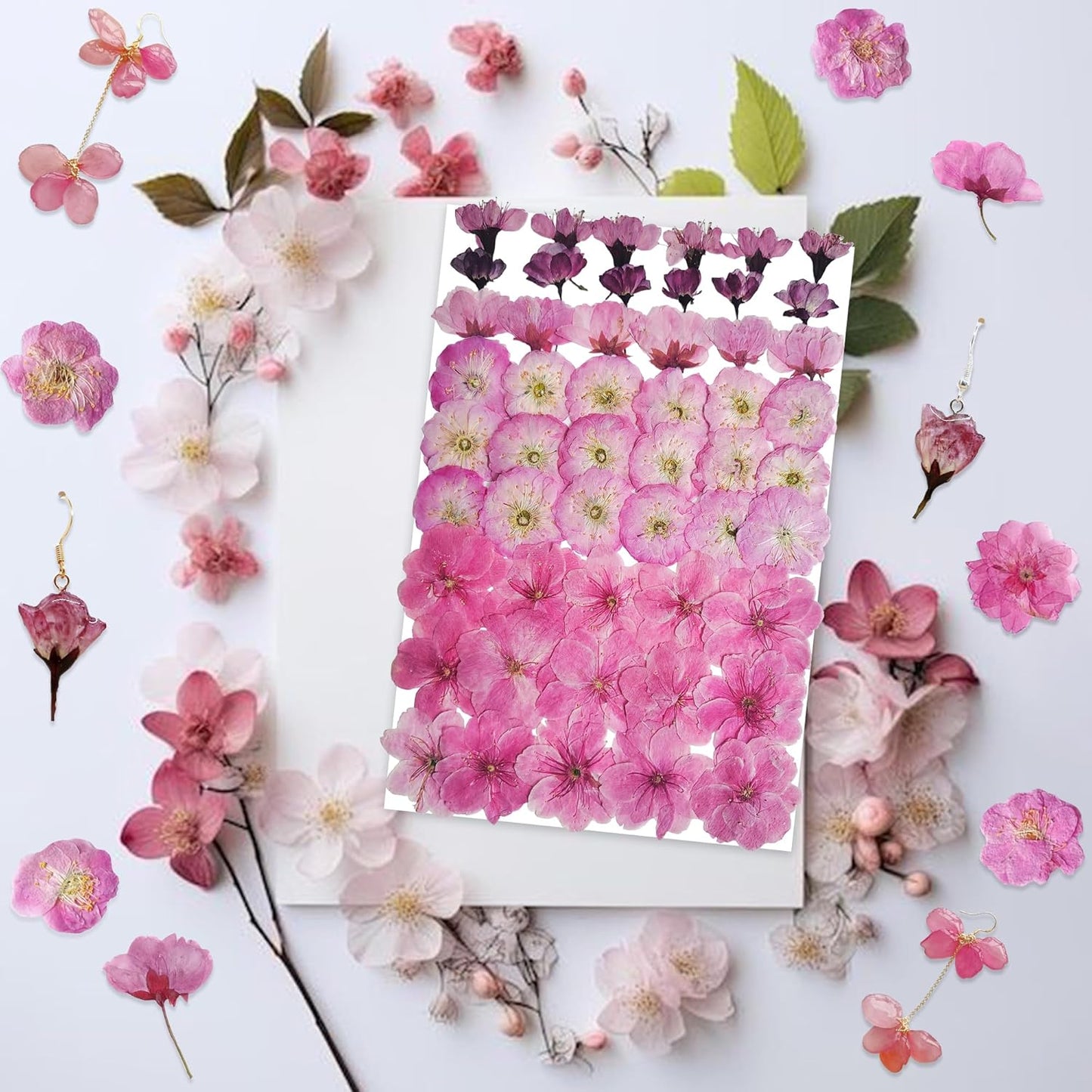 51 Pcs Real Natural Cherry Blossom Dried Pressed Flowers - Delicate Pink Florals for Resin Jewelry, Candle Making, Frame Decor & DIY Craft Projects