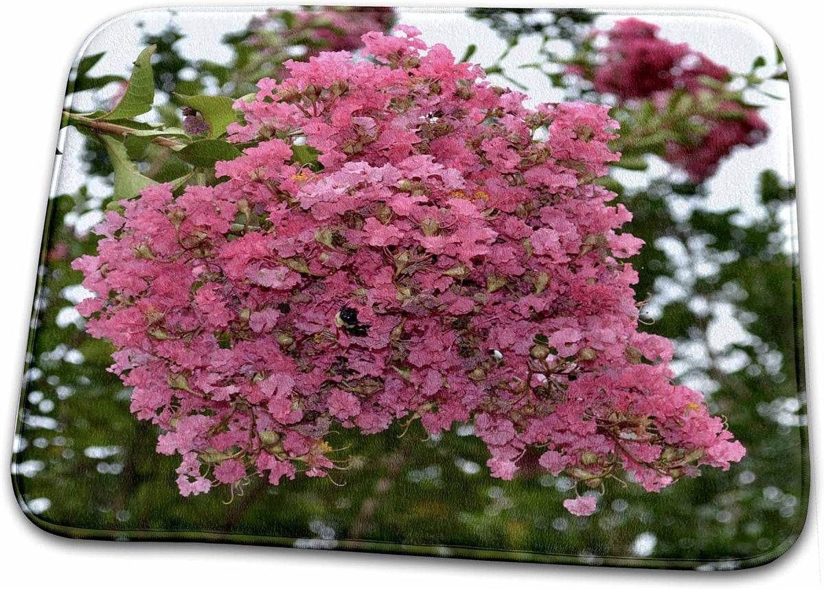 Dish Drying Mat - A bunch of light pink crepe myrtle WhiteOak Photography Floral Prints