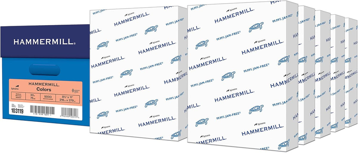 Colored Paper, 20 lb Salmon Printer Paper, 8.5 x 11-10 Ream (5,000 Sheets) - Made in the USA, Pastel Paper, 103119C