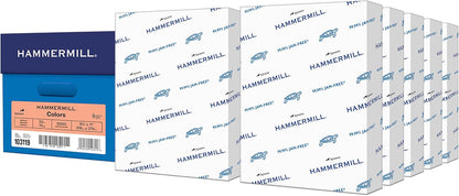 Colored Paper, 20 lb Salmon Printer Paper, 8.5 x 11-10 Ream (5,000 Sheets) - Made in the USA, Pastel Paper, 103119C