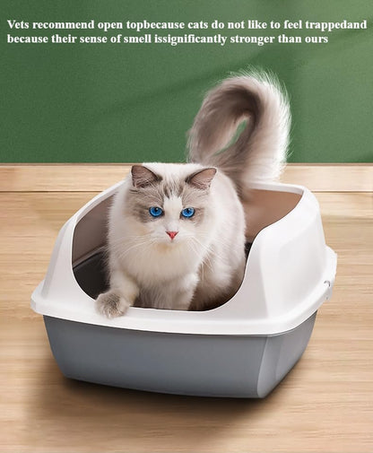 Open Top Cat Litter Box - Anti-Splashing High Sides Pet Litter Tray for Indoor Cats - 19.8" L x 14.7" W x 7.6" H(Pink)