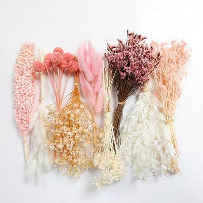 9 Kinds Pink White Dried Flowers Bouquet, 141 Pcs