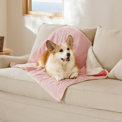 Bedsure Cat Blanket for Indoor Cats - Waterproof Calming Cat Blankets for Couch Protection, Sherpa Fleece Pet Blanket, Soft Plush Reversible Throw Furniture Protector, 50"x40", Pink