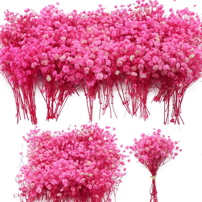 4700+ Mini Dried Babys Breath Flowers Bulk, Bright Pink