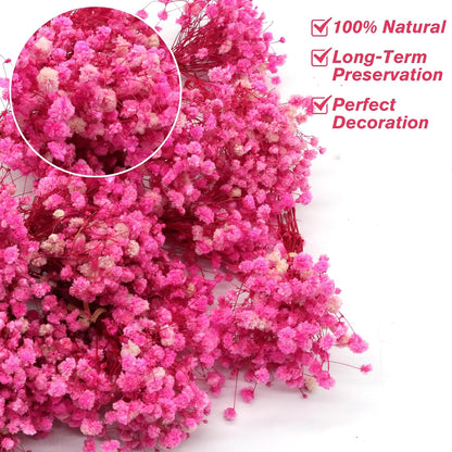 4700+ Mini Dried Babys Breath Flowers Bulk, Bright Pink