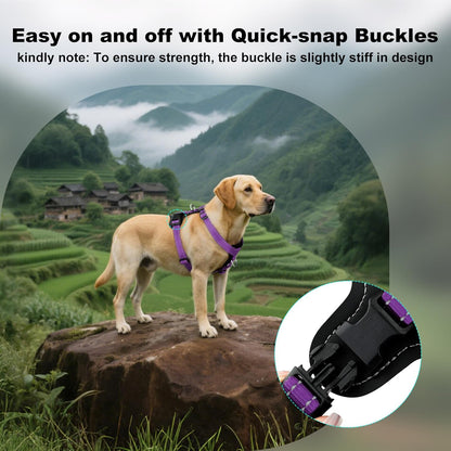 Plutus Pet Adjustable No Pull Dog Harness with Leather Accents, Heavy Duty Reflective Nylon Vest for Training, Hiking, Easy Walk Harness for Small, Medium, Large Dogs (Purple, L)