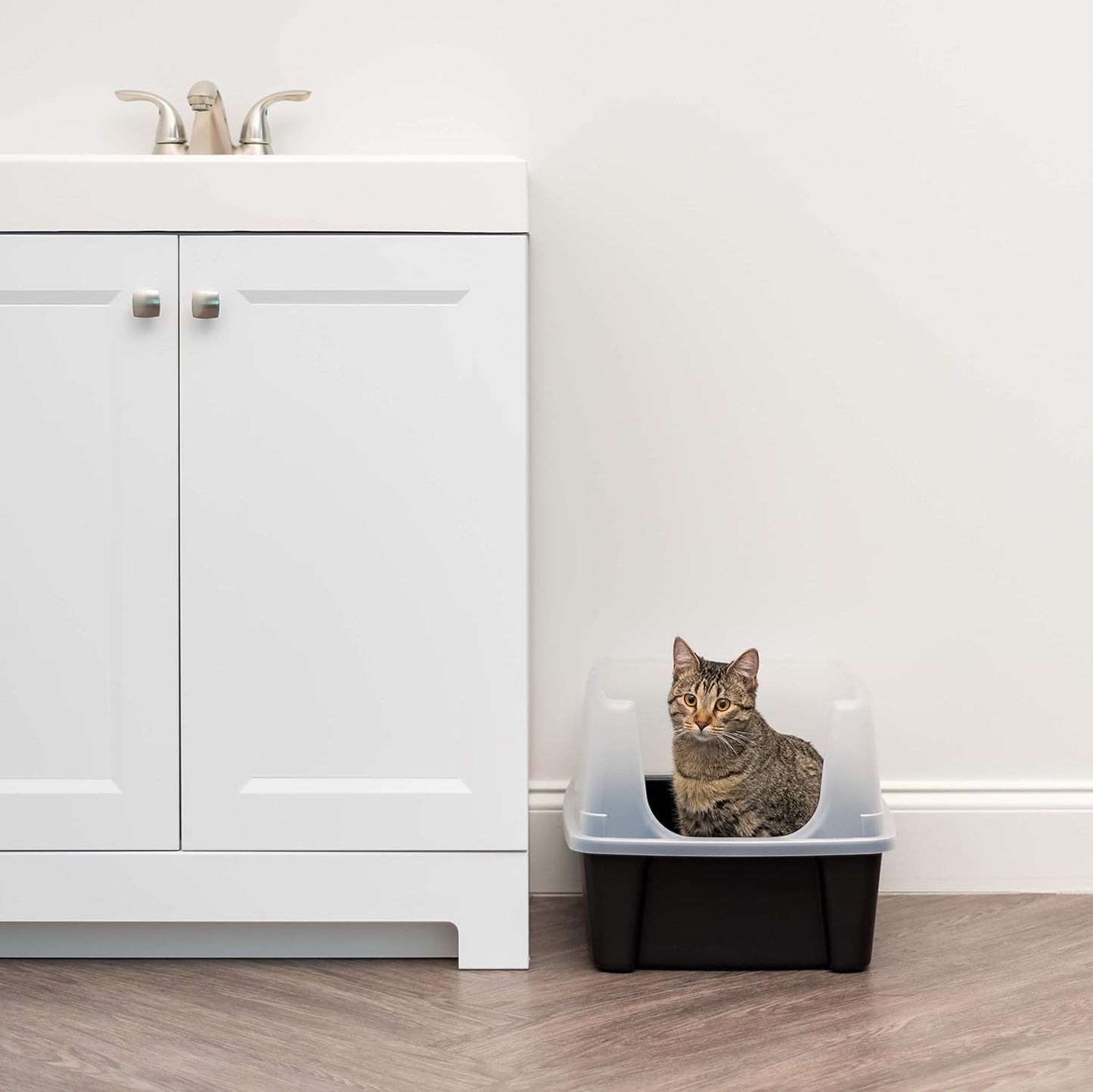 IRIS USA Cat Litter Box Large Open Top with High Sided Walls Tall Scatter Shield Scoop Included Easy Clean Plastic Pan Stain Resistant for Big Cats Kittens Indoor Multi-Cat Households