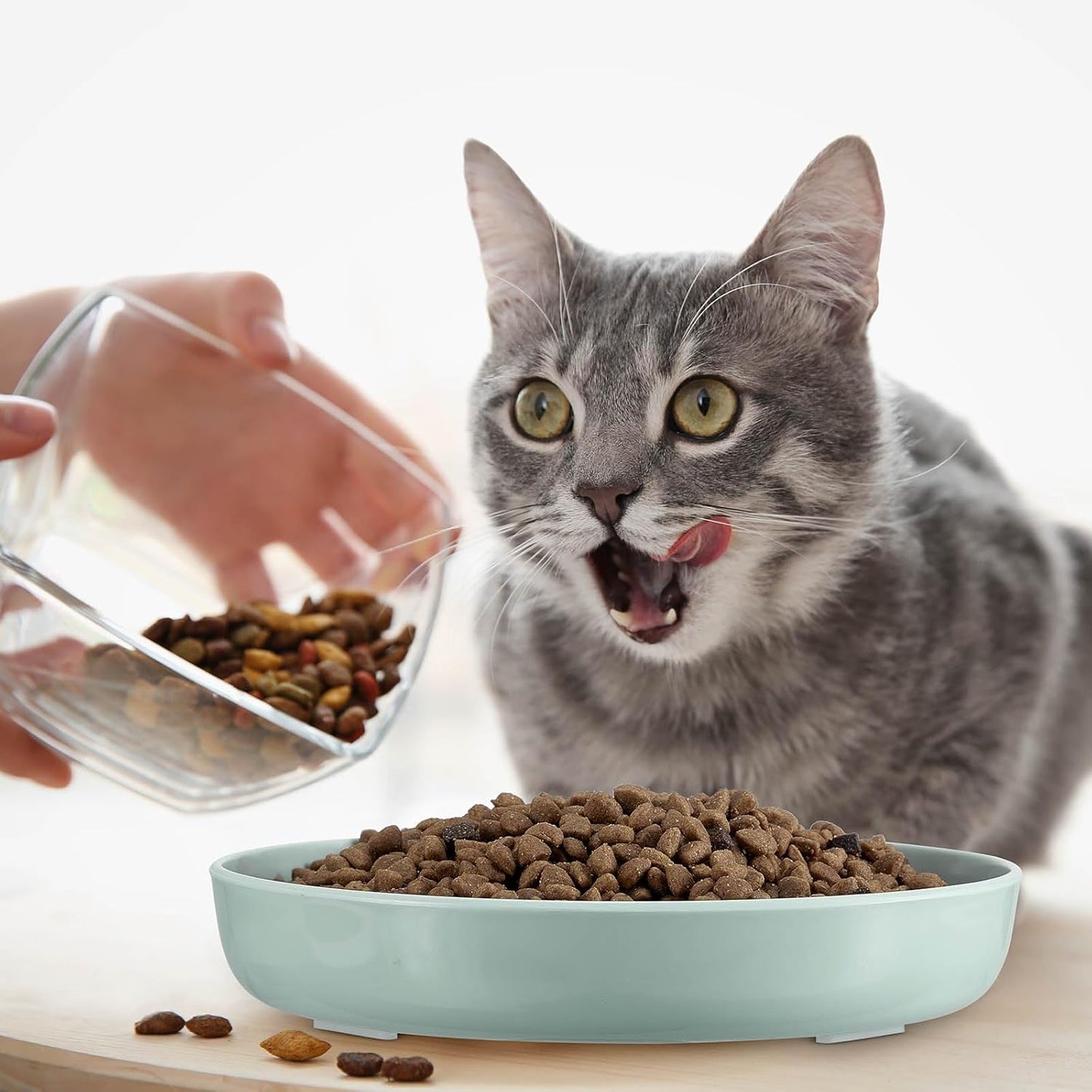 2 Pcs Cat Slow Feeder Bowl Fish Pool Design Feeder Dish Fun Interactive Cat Food Bowl Healthy Eating Diet Bowls for Pet Puppy Dogs Dishwasher Safe(Green, Pink)