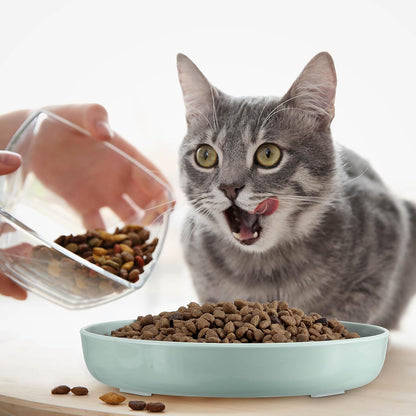 2 Pcs Cat Slow Feeder Bowl Fish Pool Design Feeder Dish Fun Interactive Cat Food Bowl Healthy Eating Diet Bowls for Pet Puppy Dogs Dishwasher Safe(Green, Pink)