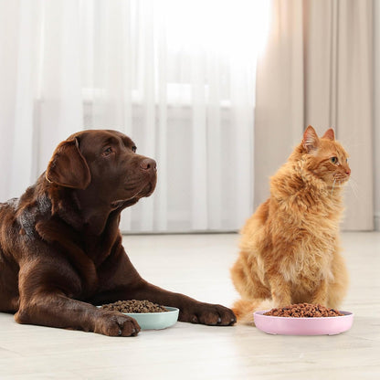 2 Pcs Cat Slow Feeder Bowl Fish Pool Design Feeder Dish Fun Interactive Cat Food Bowl Healthy Eating Diet Bowls for Pet Puppy Dogs Dishwasher Safe(Green, Pink)